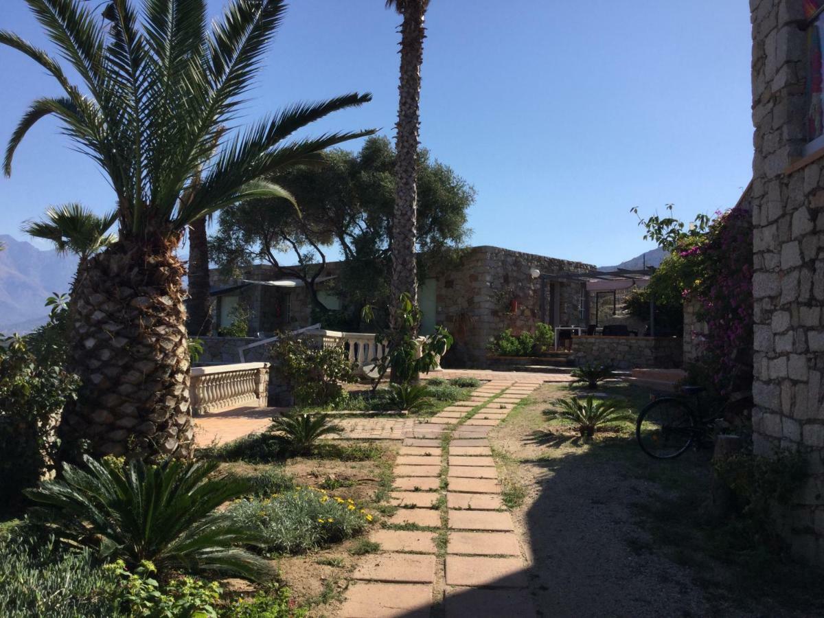Villa U Mulinu Calvi  Buitenkant foto